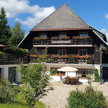 Hubertus - 6, Feldberg, Titisee, Schluchsee Appartement